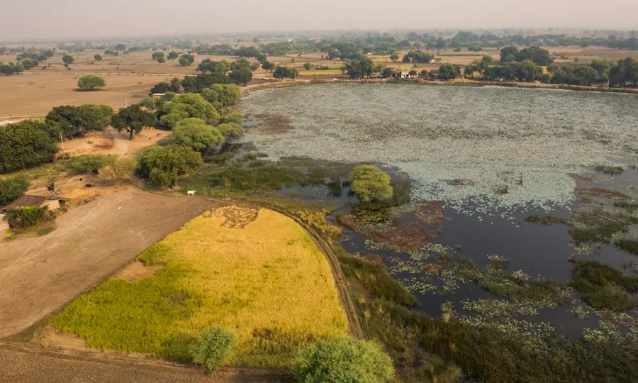 A.T.E. Chandra Foundation — Rejuvenating 5,000+ waterbodies, tracked on one dashboard
